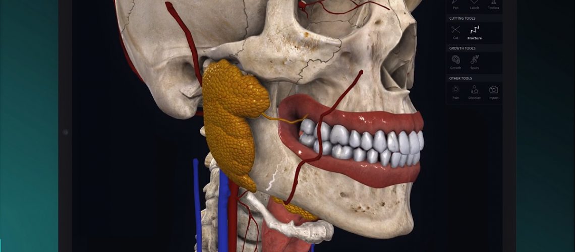Complete-Anatomy-atlas-do-corpo-humano-CRED-3D4Medical_Reproducao
