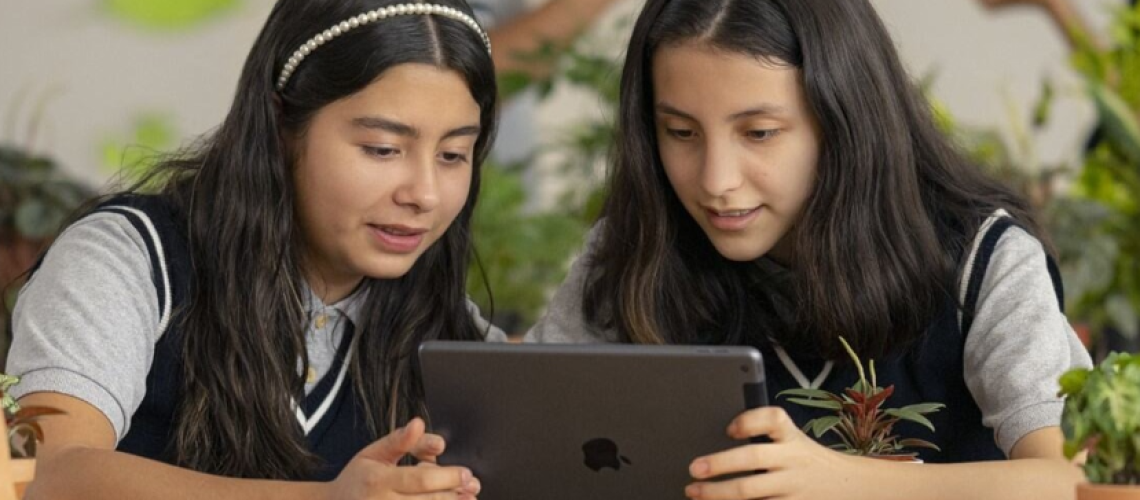 iplace_educional